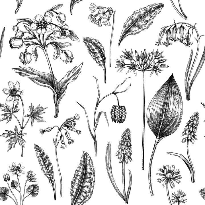 Spring flowers seamless pattern. Wildflowers background. Forest plant, greenery, wild flowers sketches. Hand drawn vector illustration. Not AI-generated